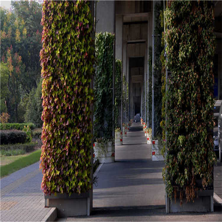 景點擺(bai)蘤(hua) 19