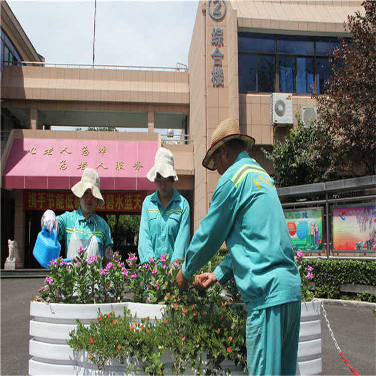 綠(lv)化(hua)養護 8