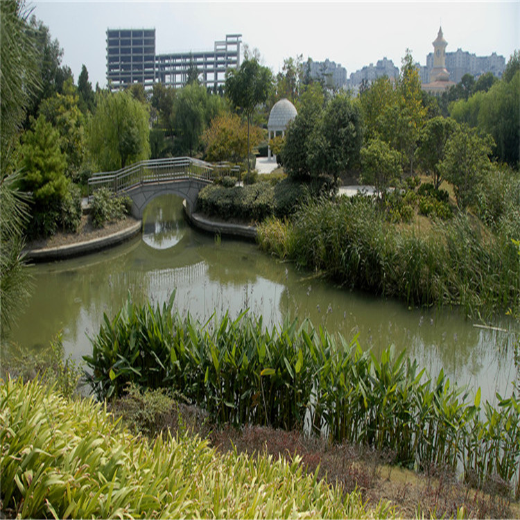 綠(lv)化(hua)施(shi)工(gong) 20