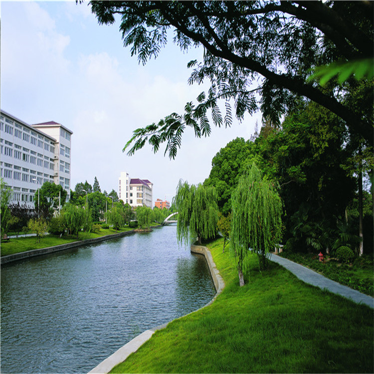 綠化施(shi)工(gong) 18