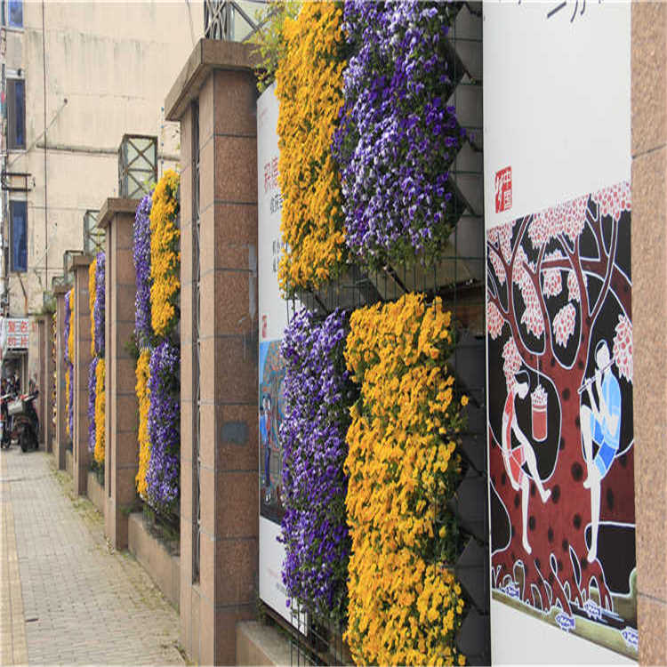 景(jing)點(dian)擺蘤(hua) 8