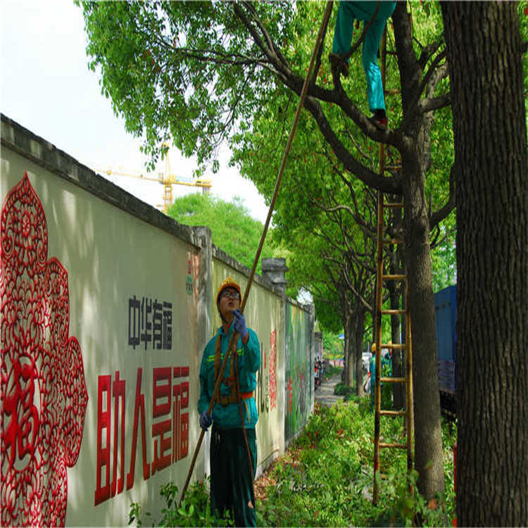 綠化養(yang)護(hu) 4