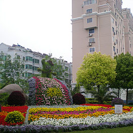 景點(dian)擺蘤 2