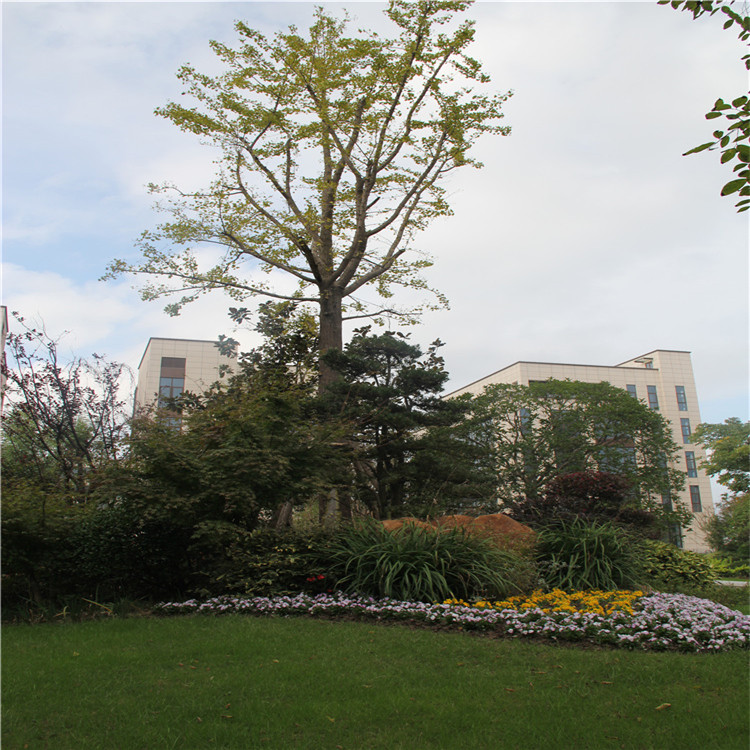 綠化(hua)施工 12