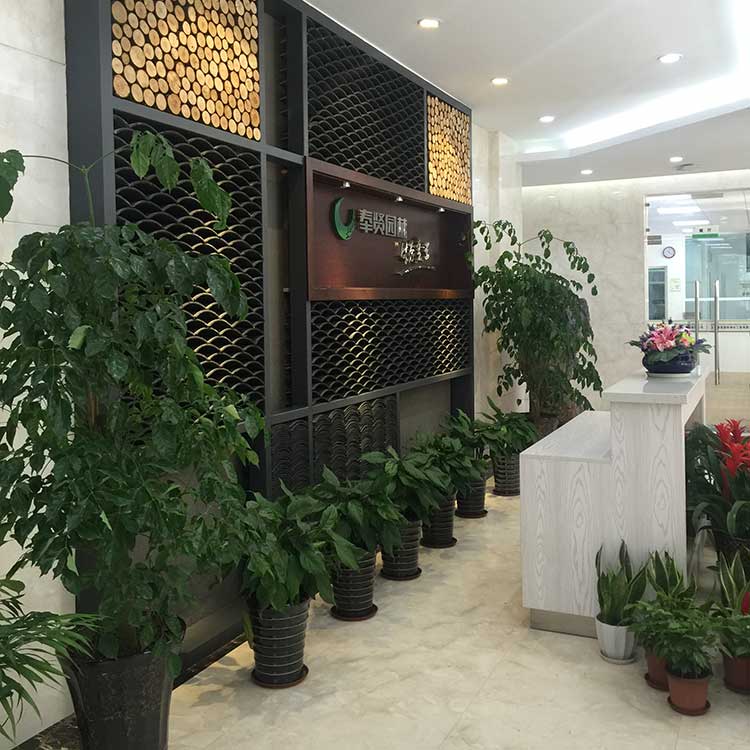 室內擺蘤(hua) II