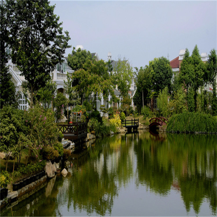 綠化(hua)施工 VIII