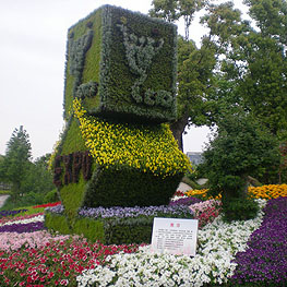 景(jing)點(dian)擺(bai)蘤 6