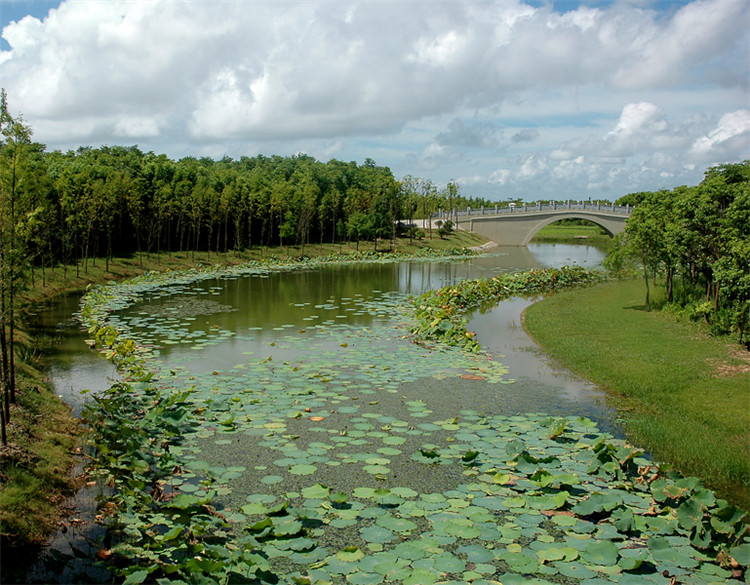 綠化施工(gong) 14