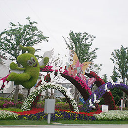 景點(dian)擺蘤(hua) 5