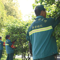 綠化養(yang)護(hu) 3