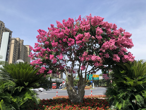 圖(tu)片(pian)1.png 圖片1.png