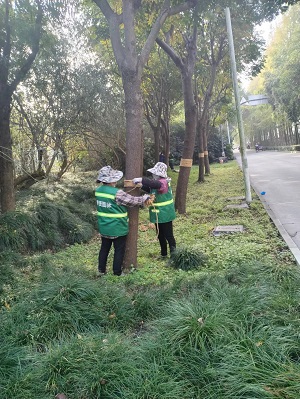 圖(tu)片(pian)1.jpg 圖片(pian)1.jpg