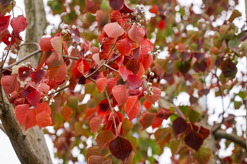 DSC06251.jpg DSC06251.jpg