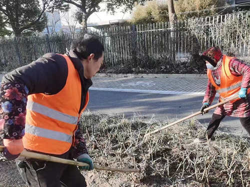 月季鼕(dong)肥(fei)2.png 月(yue)季鼕(dong)肥(fei)2.png