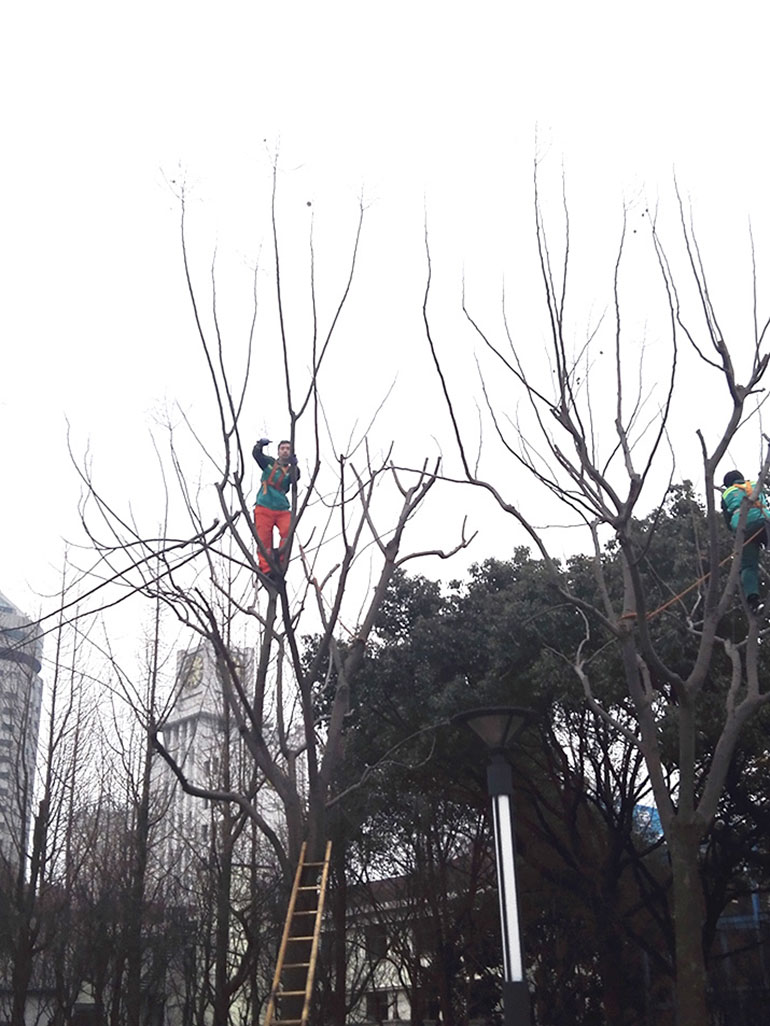 58b50c7e3172a.jpg 1.jpg