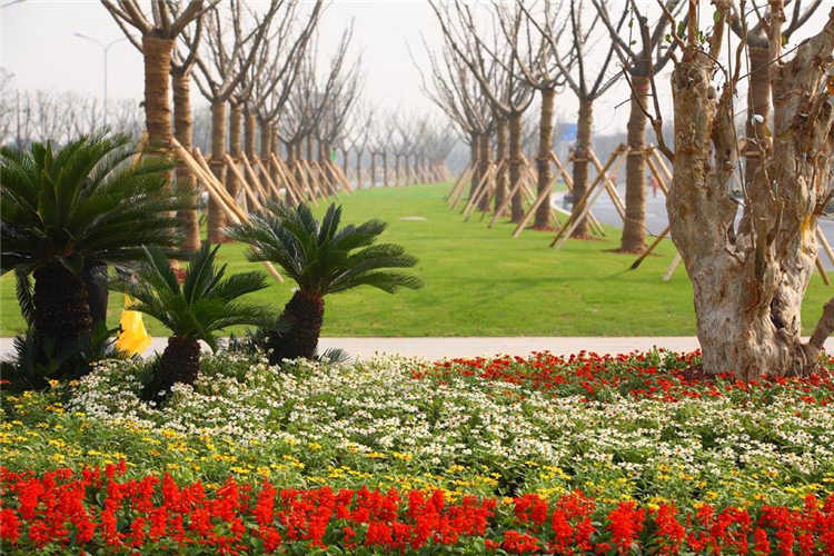 迎(ying)賔(bin)大(da)道001 (1).jpg