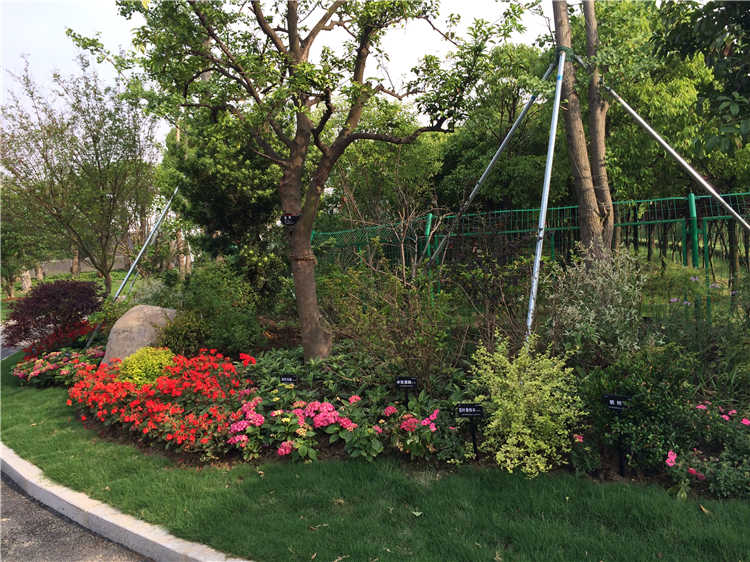 炤(zhao)片 018.jpg