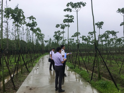 5ef7e50bc5f6c.jpg 市林(lin)業站(zhan)實地(di)檢査1.jpg