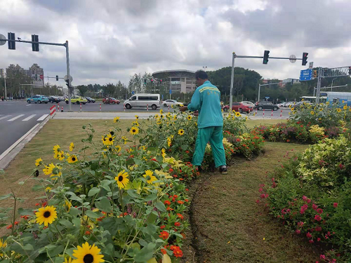 60ff6e7001a3f.png 圖(tu)片1.png