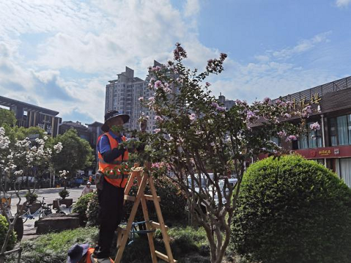 6154113f3158a.png 圖片(pian)1.png